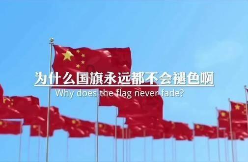 一图速览丨2024年重庆市人大常委会工作报告